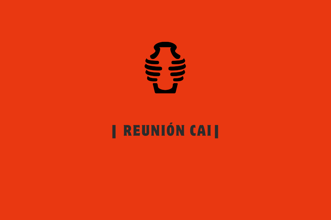 REUNIÓN CAI